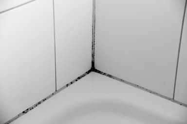 Voir nos services de Remplacer un ou plusieurs joints silicone